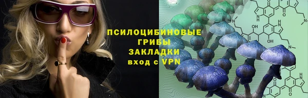 марки lsd Анжеро-Судженск