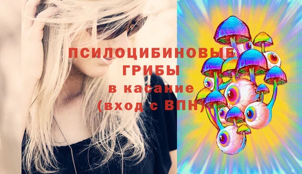 ПСИЛОЦИБИНОВЫЕ ГРИБЫ Осташков
