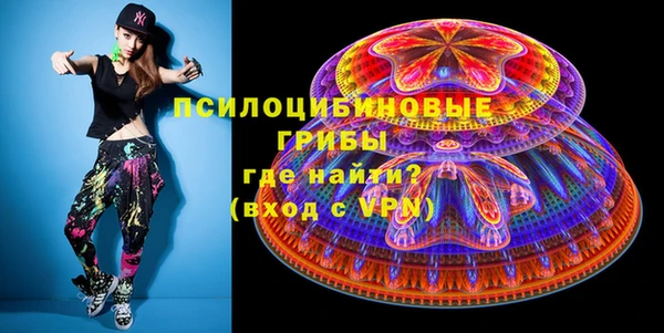 ПСИЛОЦИБИНОВЫЕ ГРИБЫ Осташков
