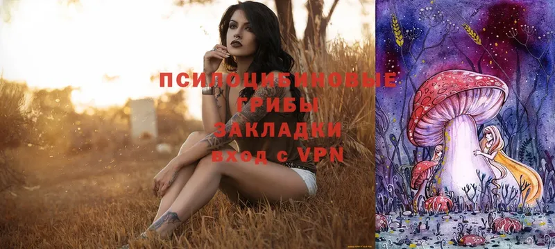 Псилоцибиновые грибы Psilocybe  ссылка на мегу зеркало  Аркадак 